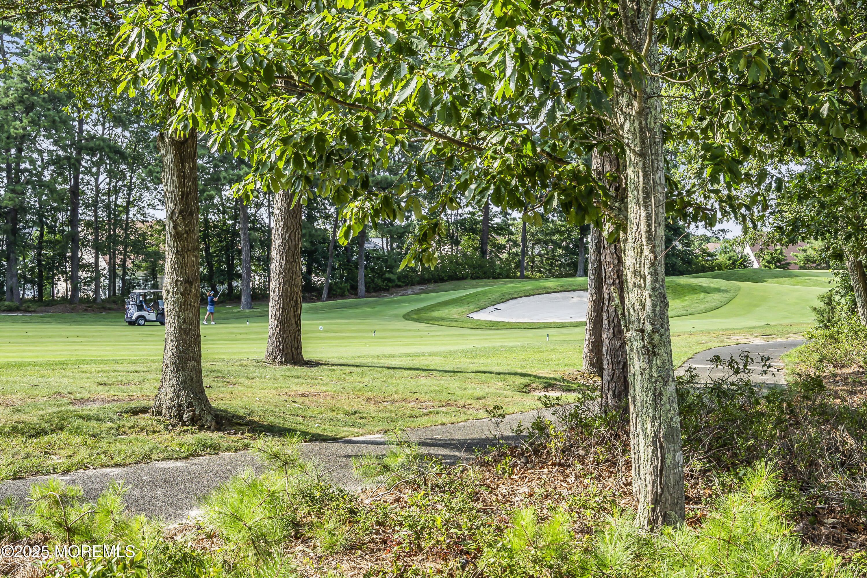 14 Harvey Cedar Way Waretown, NJ 08758 - Photo 2 of 59 a view of a garden with a slide
