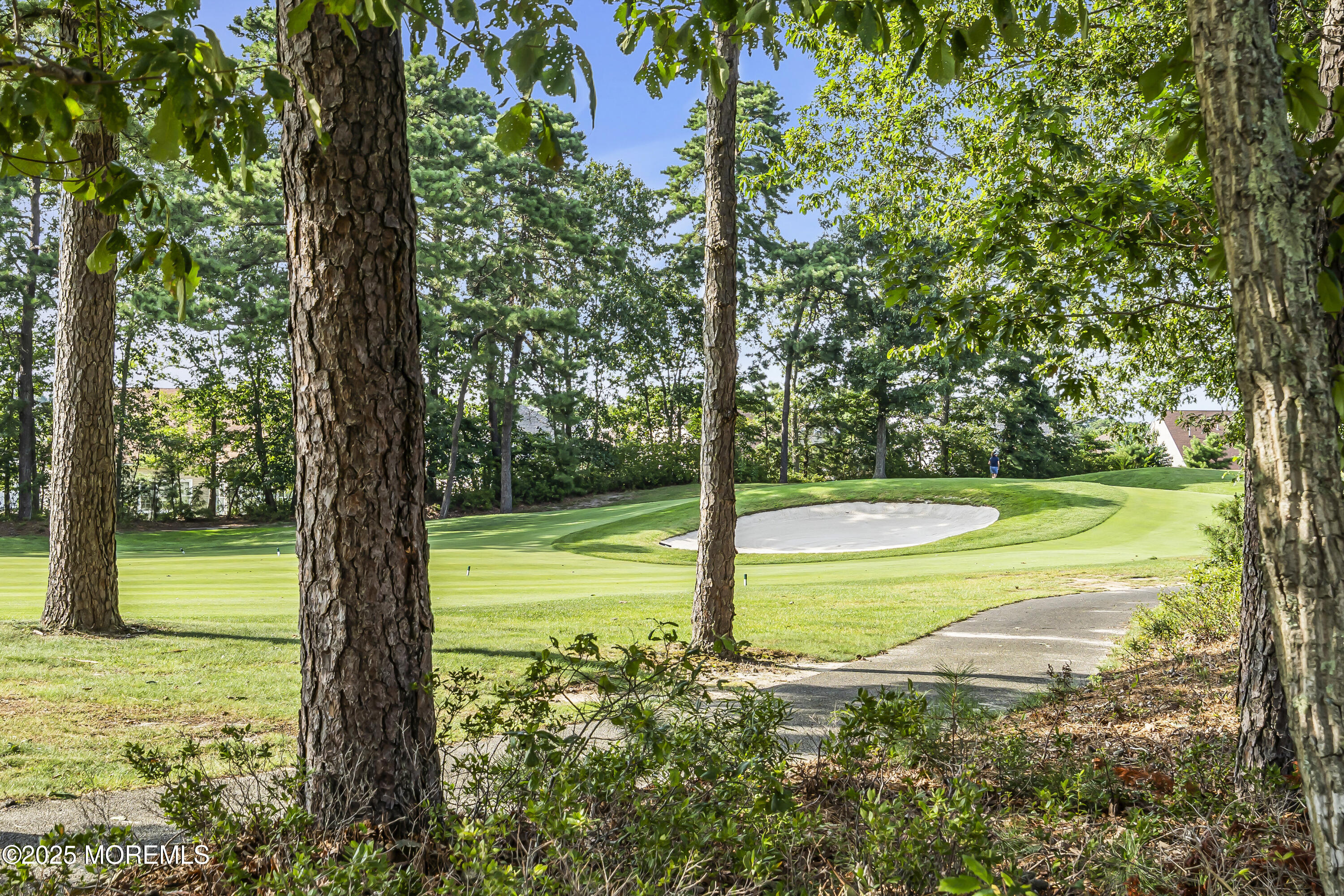 14 Harvey Cedar Way Waretown, NJ 08758 - Photo 57 of 59 a view of a yard with a large tree
