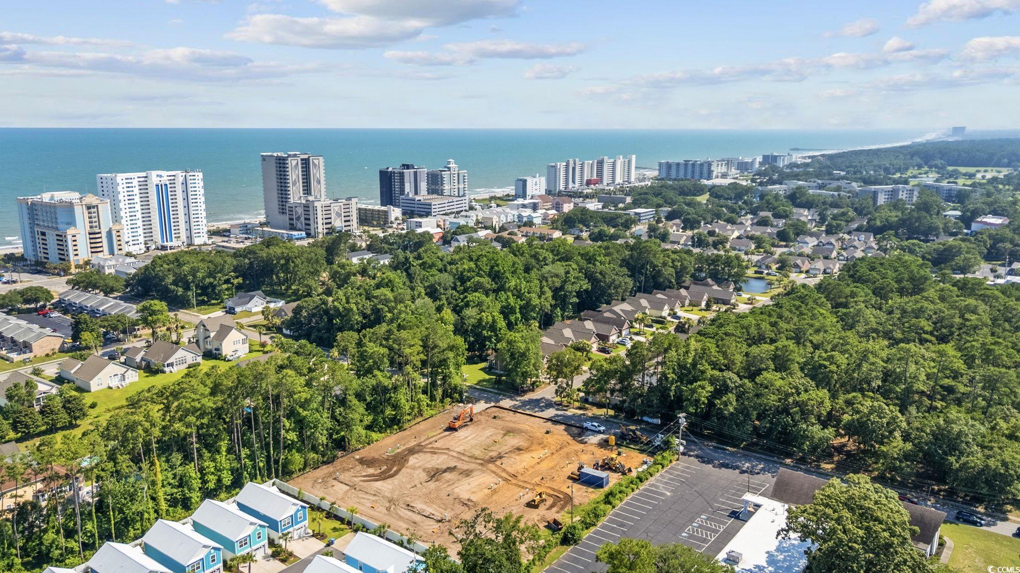 400 Flounder Way Myrtle Beach, SC 29577 - Photo 7 of 10