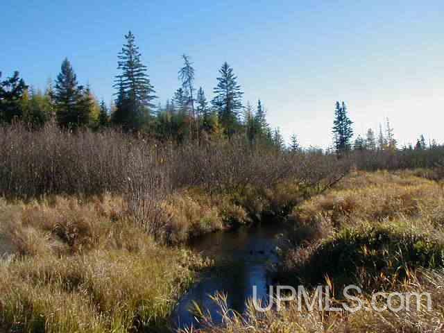 40-ac Swan Road Amasa, MI 49903 - Photo 8 of 9