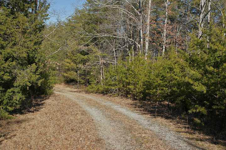 465 Gangplank Road Moneta, VA 24121 - Photo 4 of 4 Driveway into Property