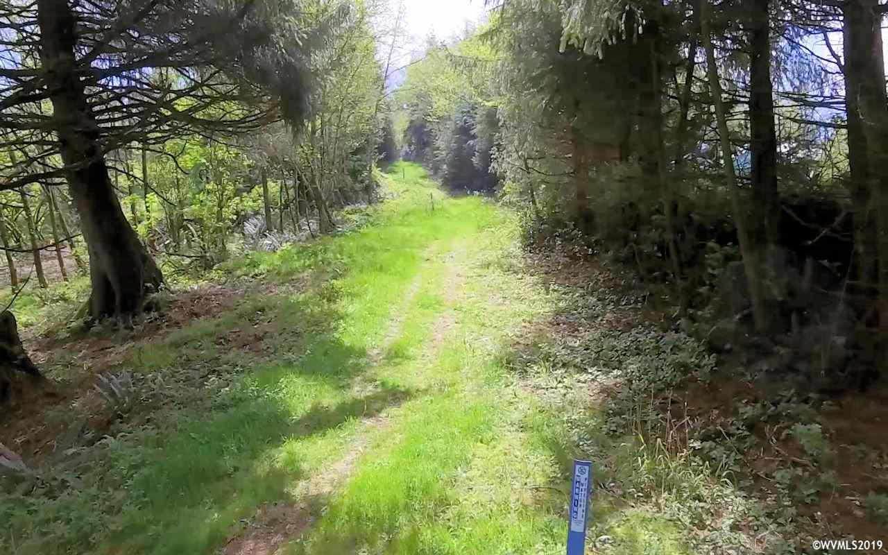 Reddekopp (tl 805) Road Pacific City, OR 97135 - Photo 19 of 22