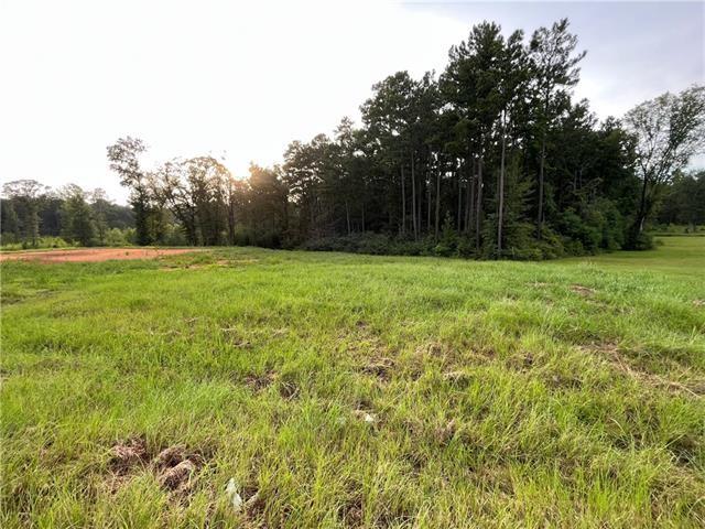 Lot 22 Archie Drive Colfax, LA 71417 - Photo 11 of 23