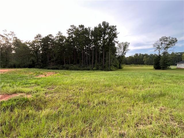 Lot 22 Archie Drive Colfax, LA 71417 - Photo 18 of 23