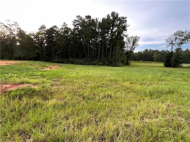 Lot 22 Archie Drive Colfax, LA 71417 - Photo 20 of 23
