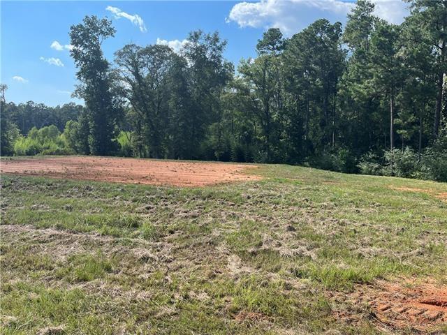 Lot 22 Archie Drive Colfax, LA 71417 - Photo 3 of 23