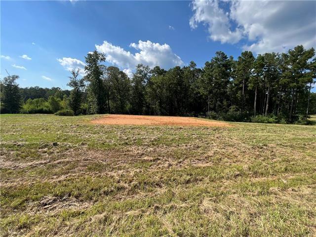 Lot 22 Archie Drive Colfax, LA 71417 - Photo 8 of 23