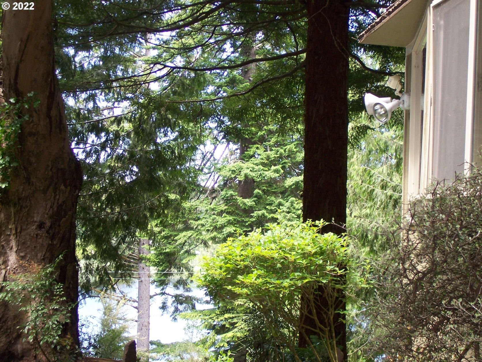 89193 Sutton Lake Road Florence, OR 97439 - Photo 13 of 28 Gallery Image 13
