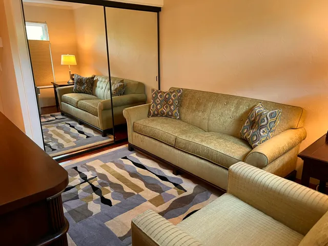 a living room with furniture a couch and wooden floor