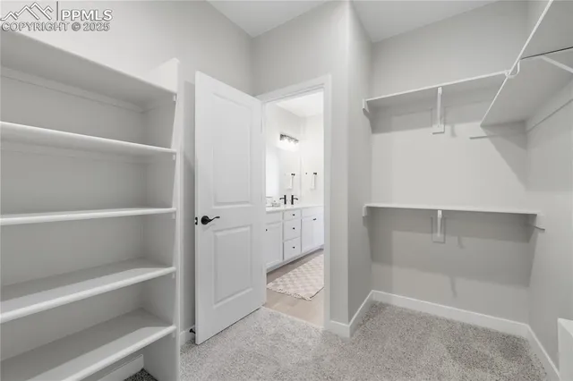 a view of an empty walk in closet