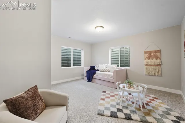 a bedroom with furniture and a window