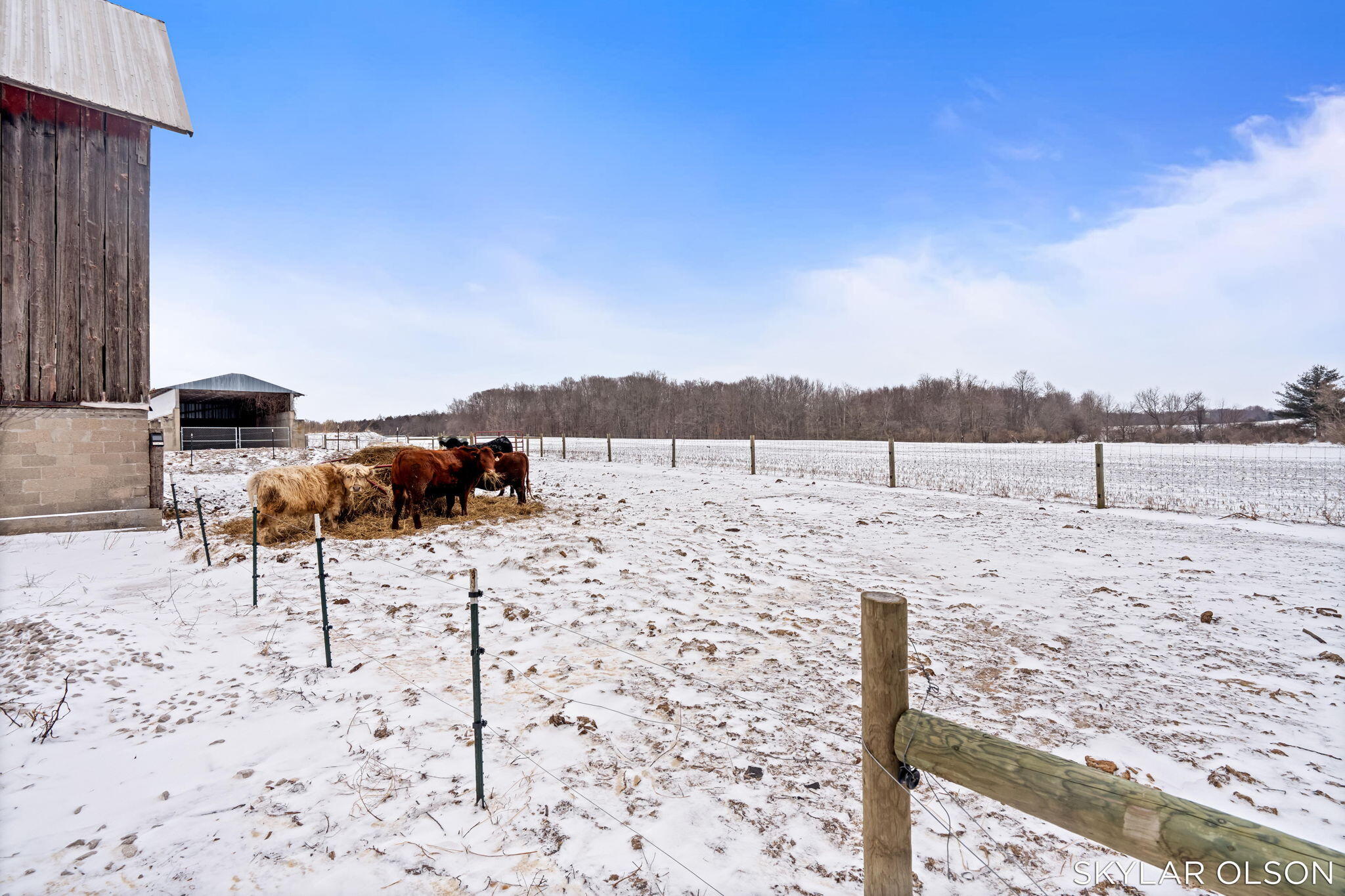 8900 Cleveland Road Hesperia, MI 49421 - Photo 63 of 87 58-web-or-mls-0435