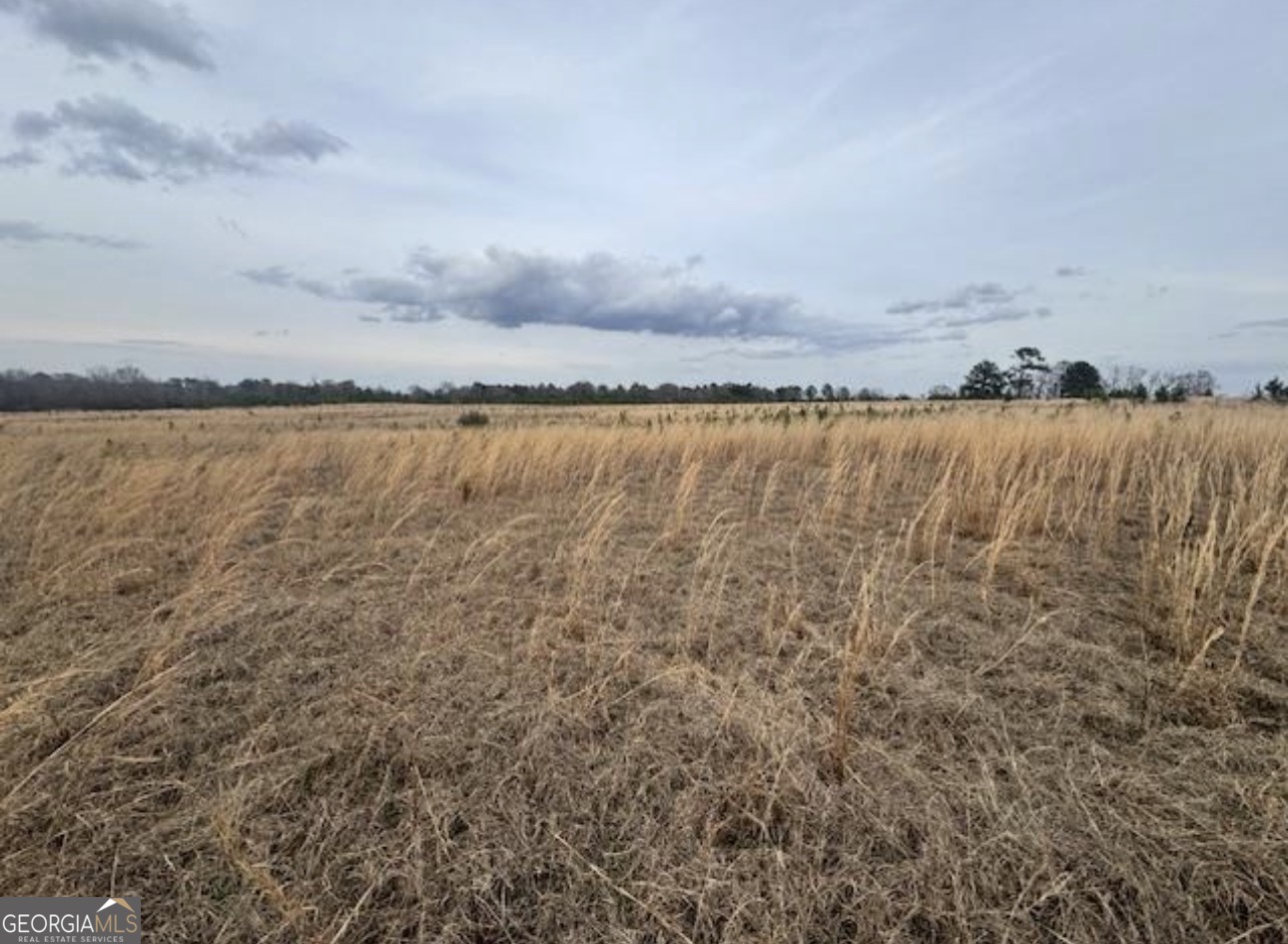 0 Mark Wood Rd (lot 5) Dexter, GA 31019 - Photo 4 of 5 a view of a lake view