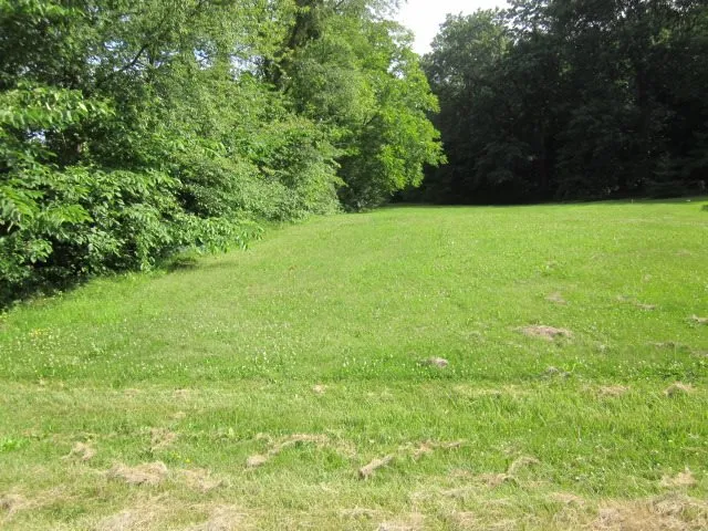 a view of green field with trees in the background