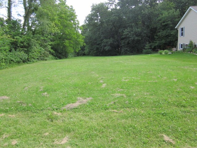 1225 Lake Summerset Road Lake Summerset, IL 61019 - Photo 2 of 13 a view of a green field with trees in the background