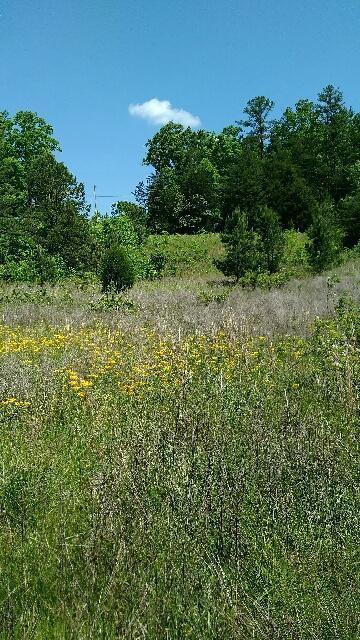 3215 White Oak Road London, KY 40741 - Photo 4 of 6 ground view2