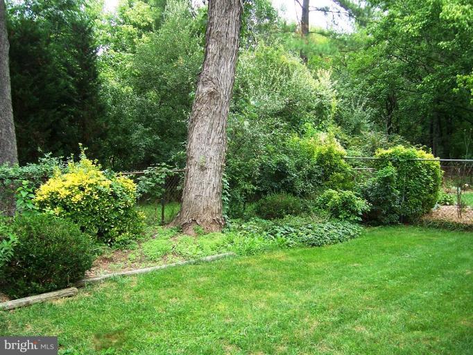 115 Kennedy Road Sterling, VA 20164 - Photo 22 of 27 Other #2