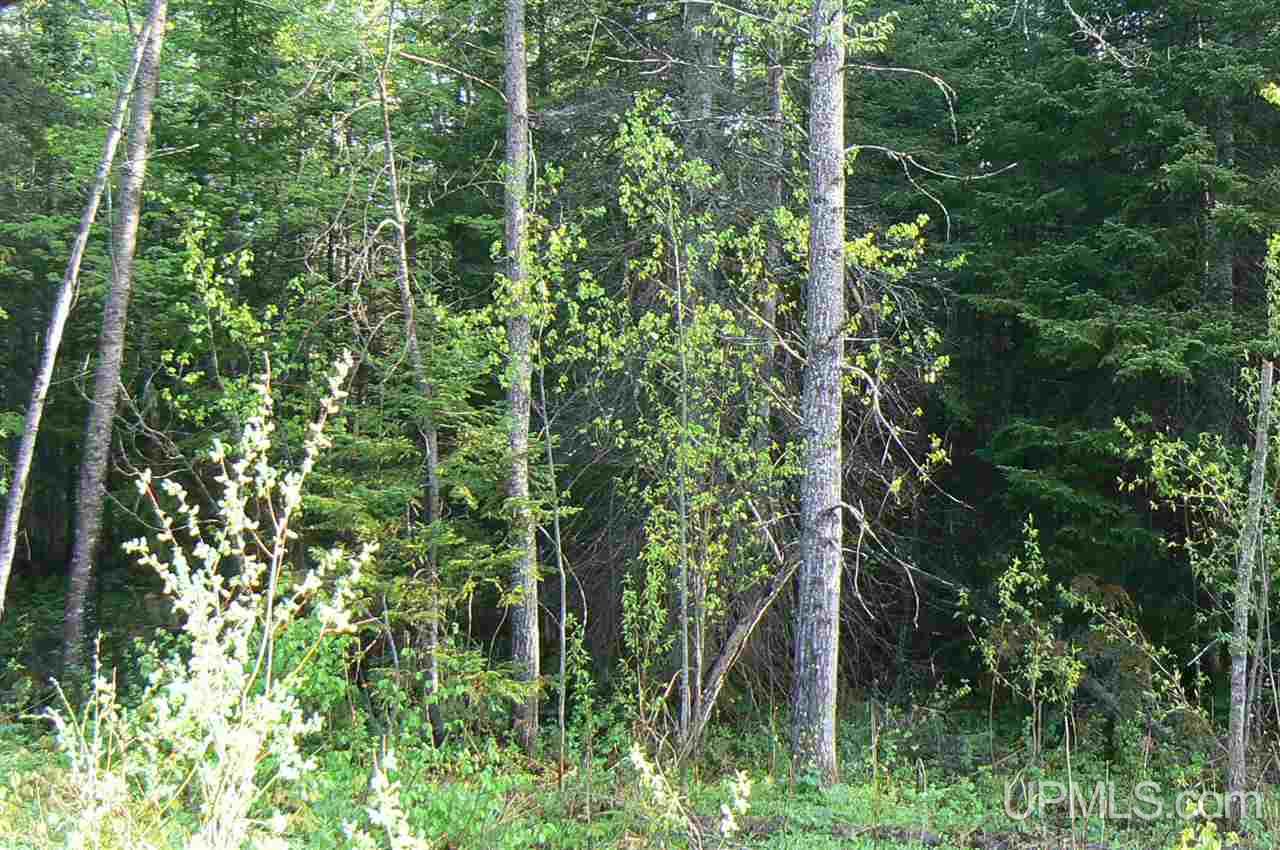 Tbd East Cold Springs Road Chatham, MI 49816 - Photo 15 of 21