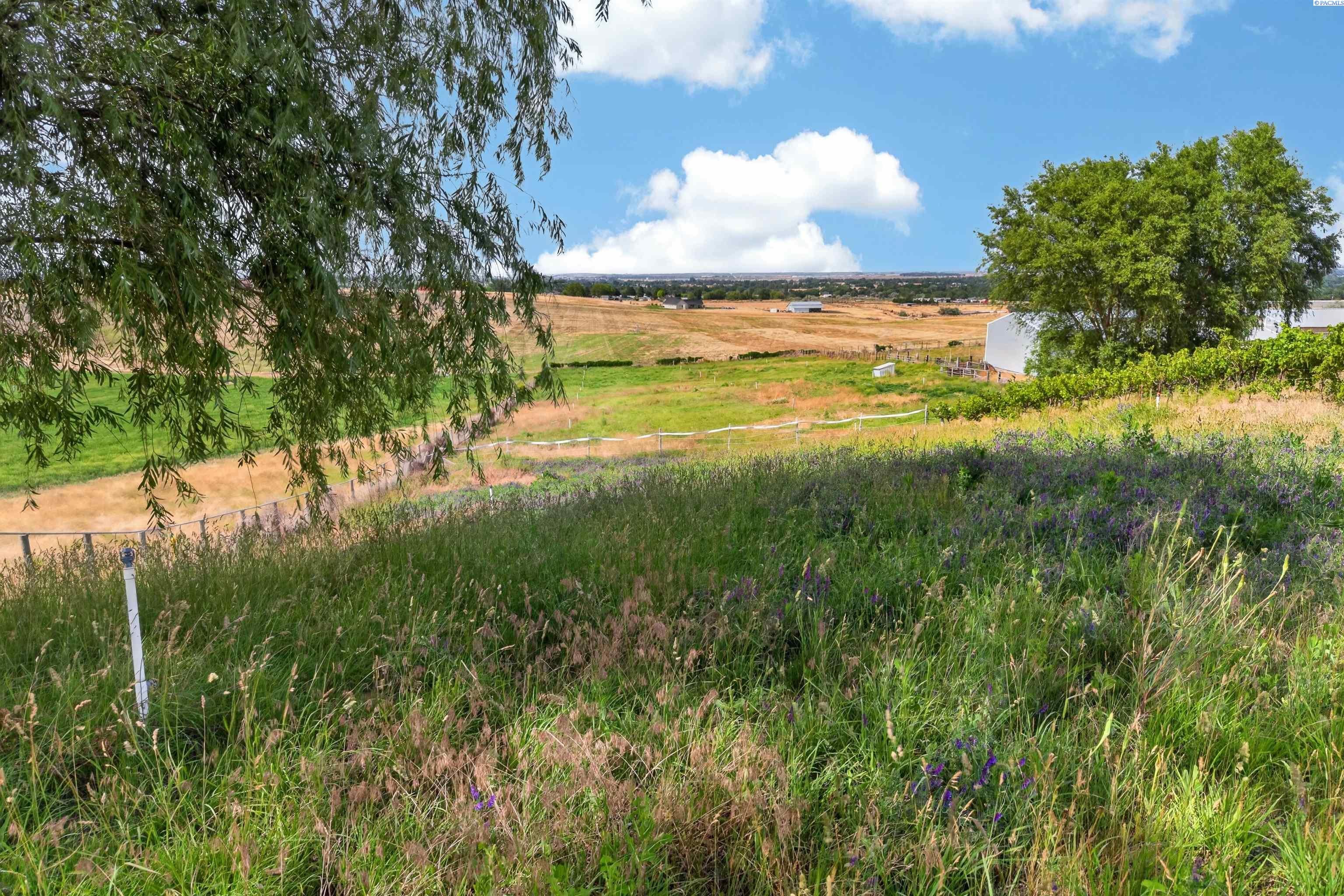 Tbd East Terril Road Kennewick, WA 99337 - Photo 12 of 15 Gallery Image 12