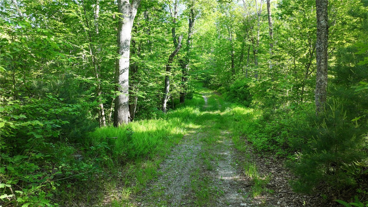 0 Barbs Hill Road Greene, RI 02827 - Photo 9 of 22 Gallery Image 9