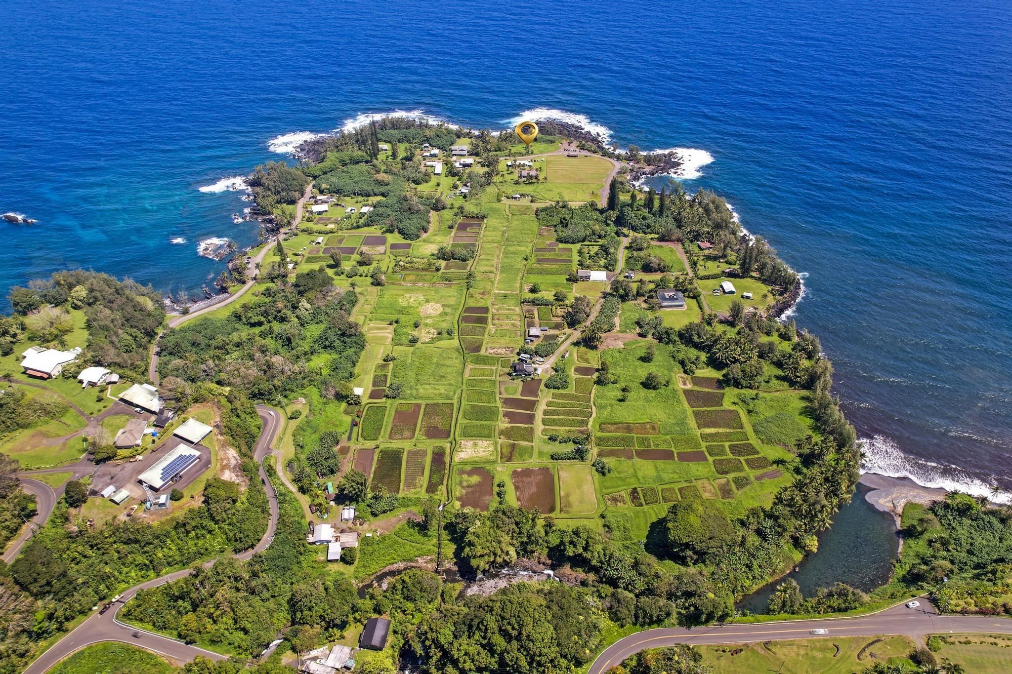 Keanae Road Haiku, HI 96708 - Photo 13 of 45