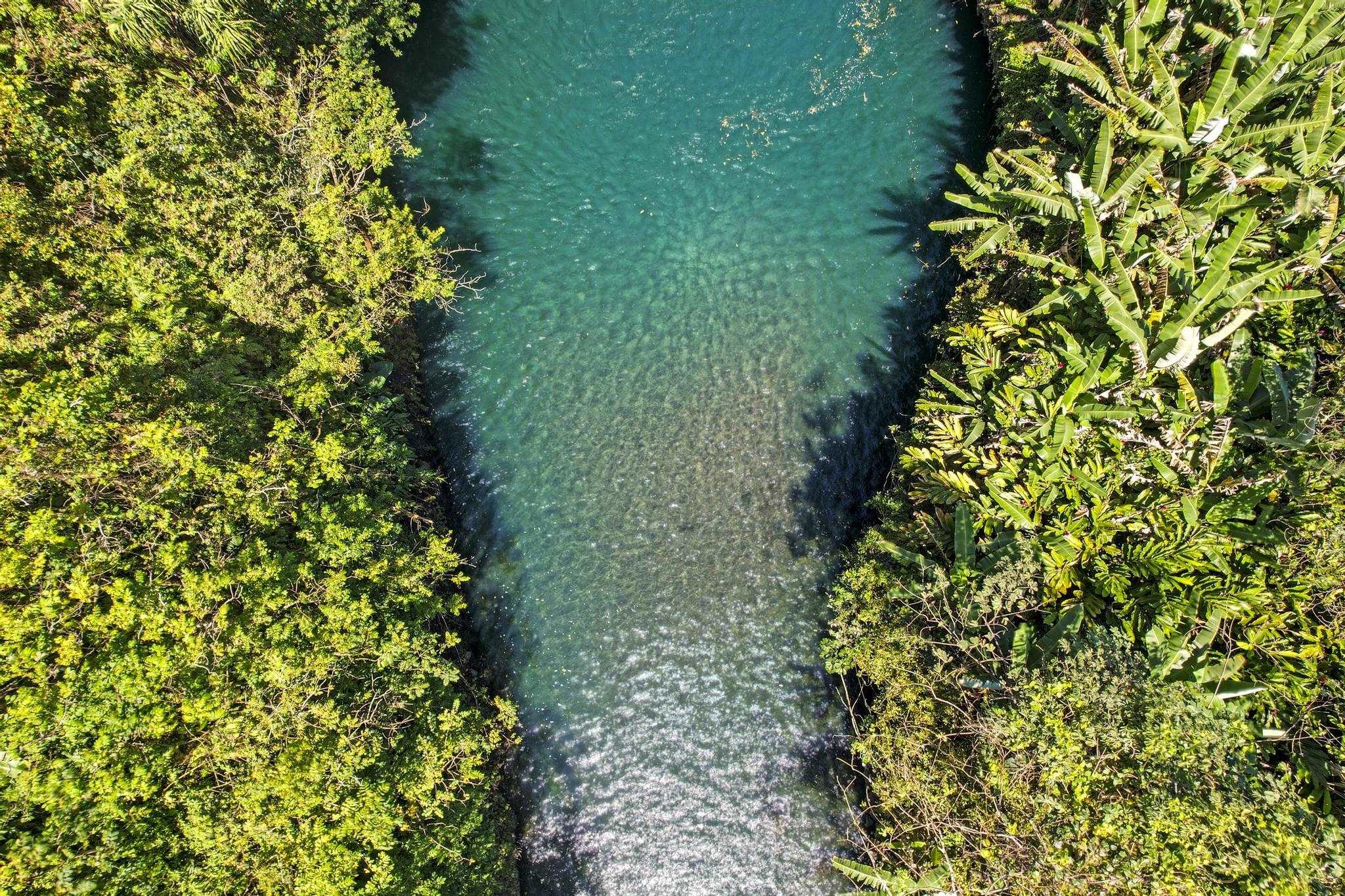 Keanae Road Haiku, HI 96708 - Photo 14 of 45
