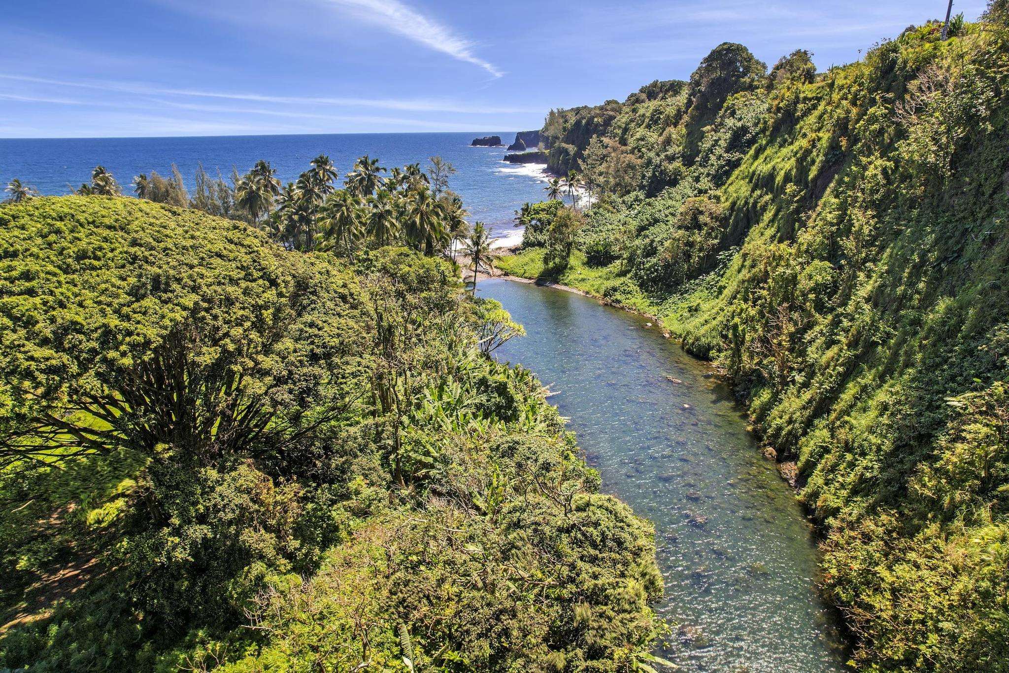 Keanae Road Haiku, HI 96708 - Photo 16 of 45