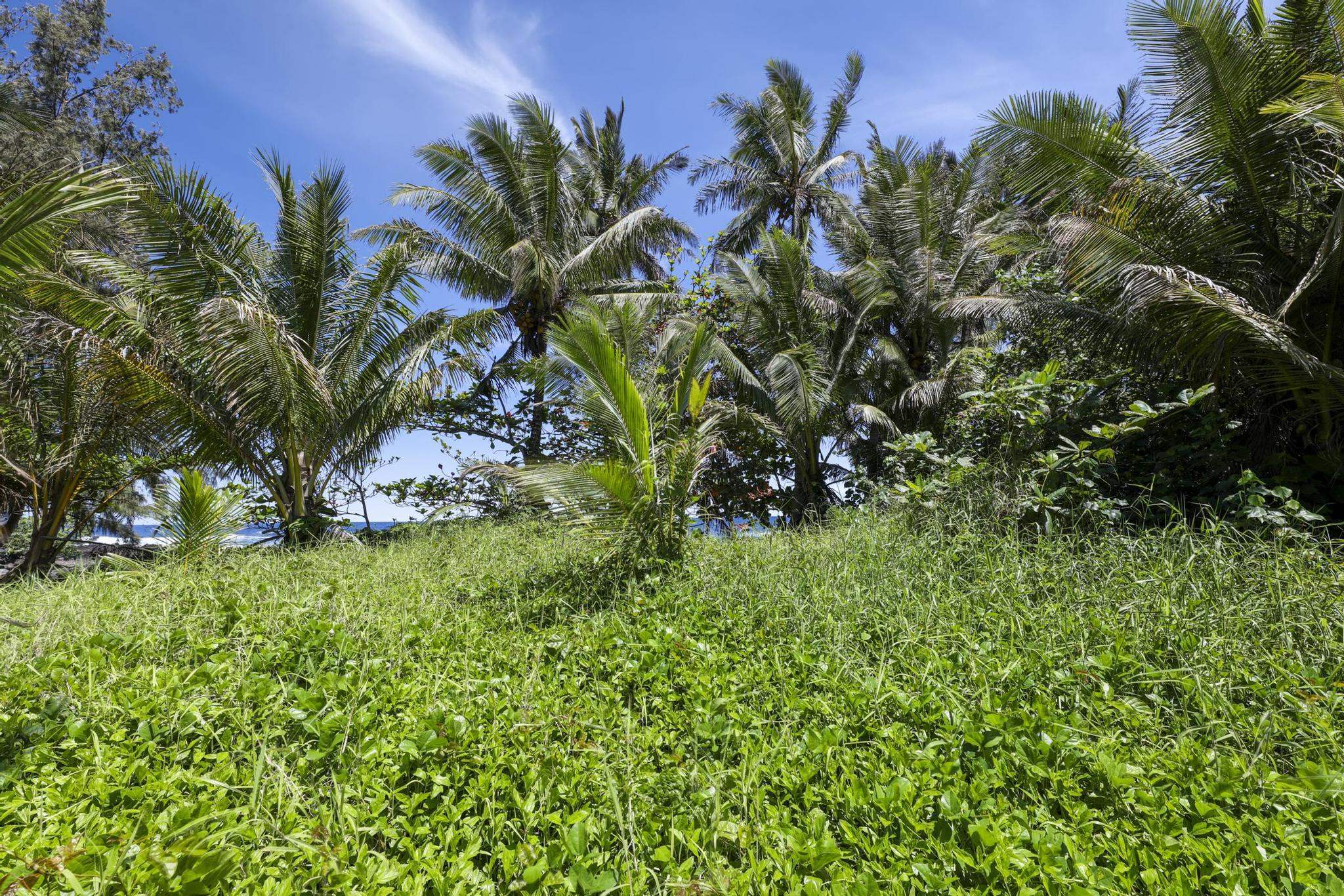 Keanae Road Haiku, HI 96708 - Photo 26 of 45