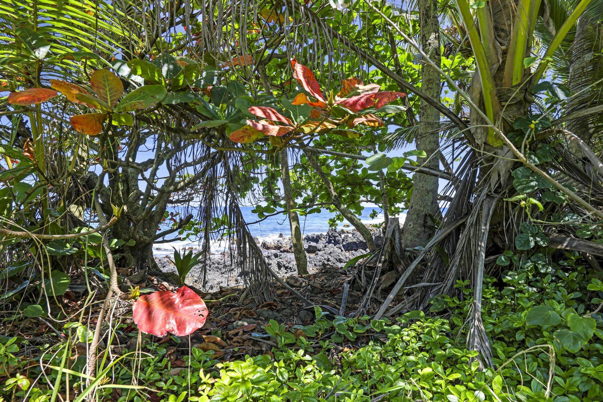Keanae Road Haiku, HI 96708 - Photo 28 of 45
