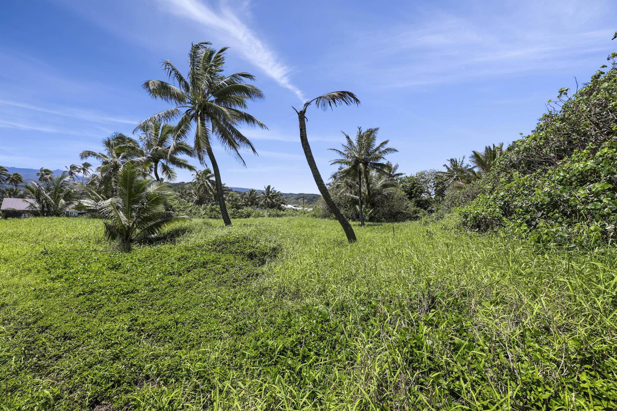 Keanae Road Haiku, HI 96708 - Photo 29 of 45