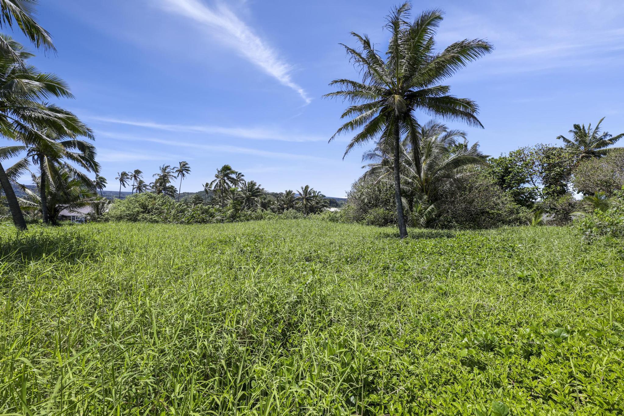 Keanae Road Haiku, HI 96708 - Photo 31 of 45