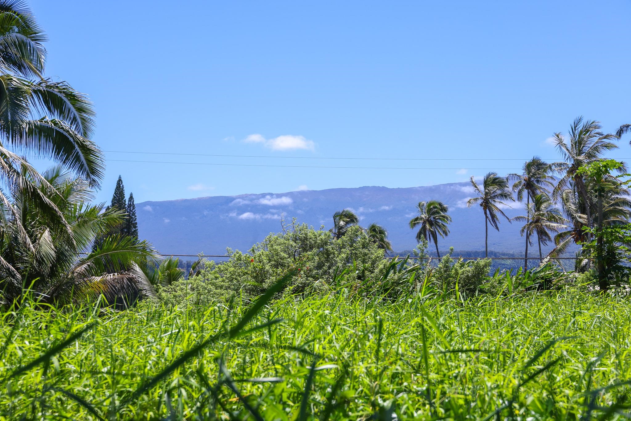 Keanae Road Haiku, HI 96708 - Photo 38 of 45