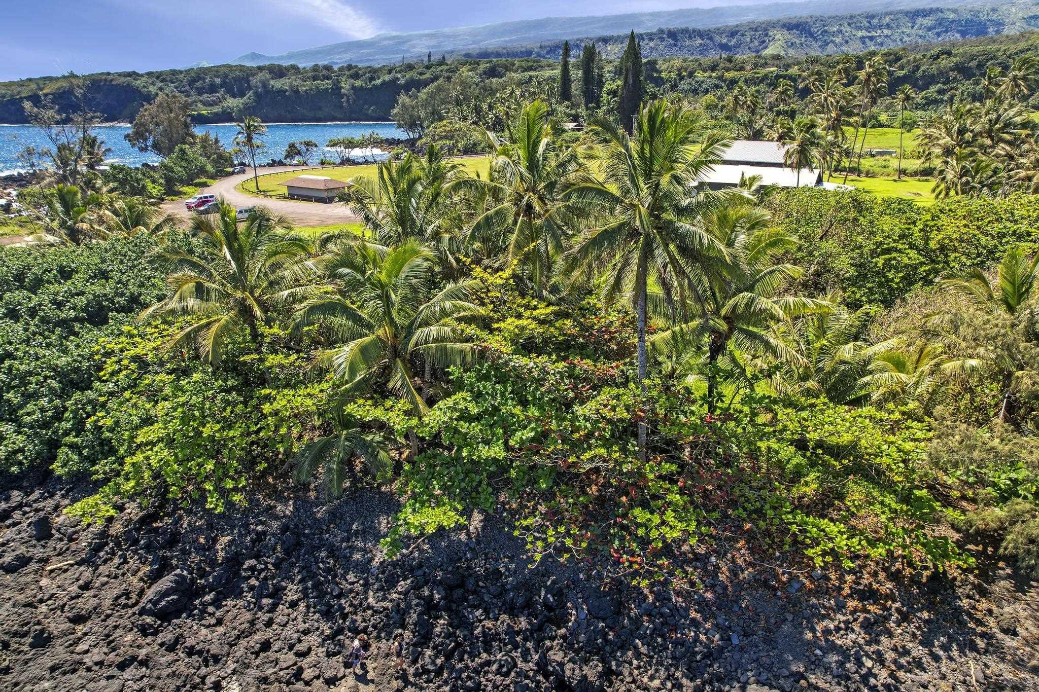 Keanae Road Haiku, HI 96708 - Photo 39 of 45