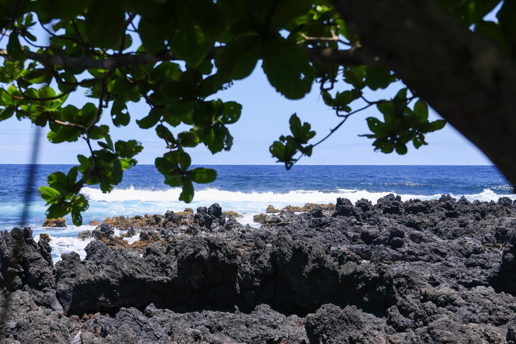 Keanae Road Haiku, HI 96708 - Photo 4 of 45