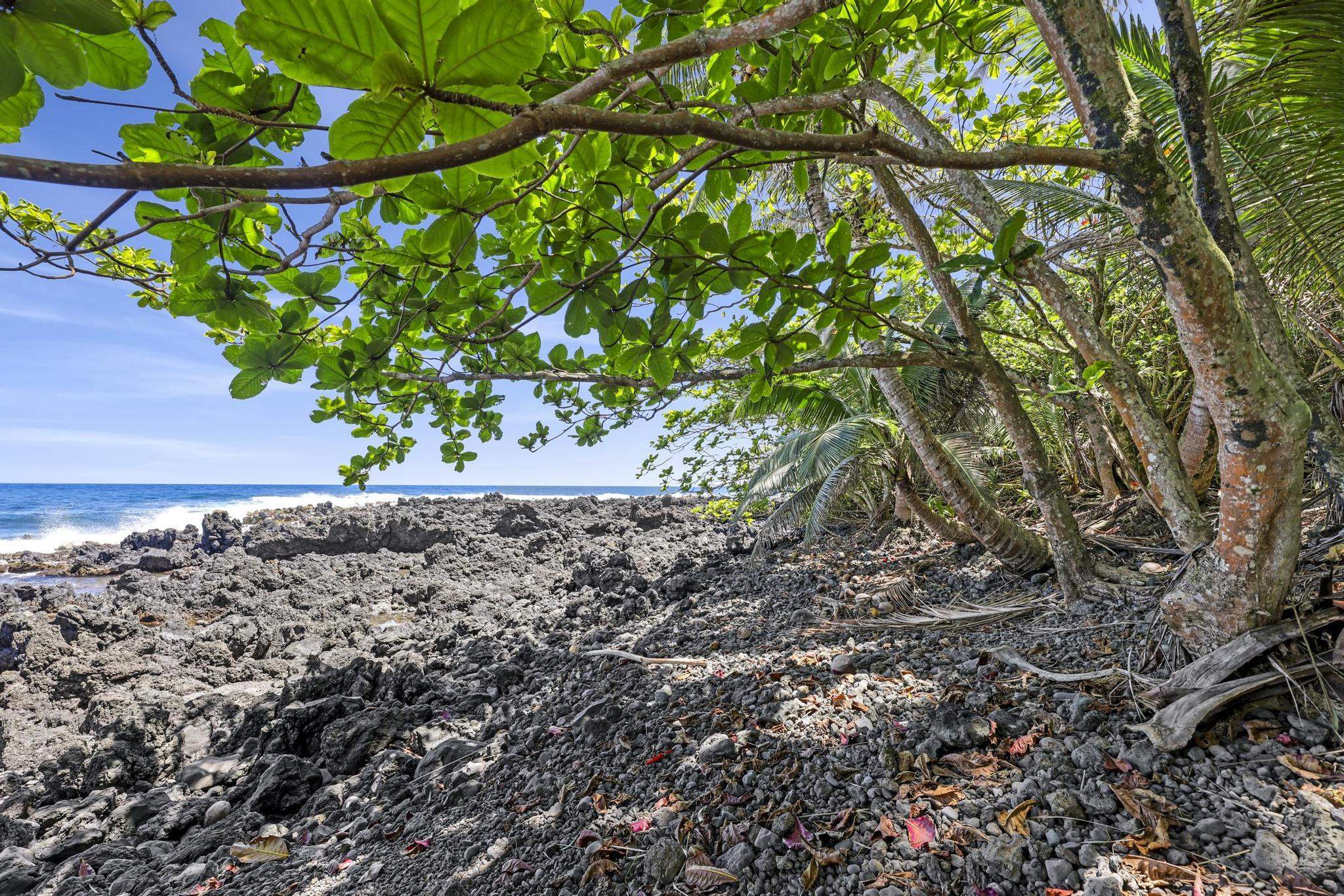 Keanae Road Haiku, HI 96708 - Photo 7 of 45