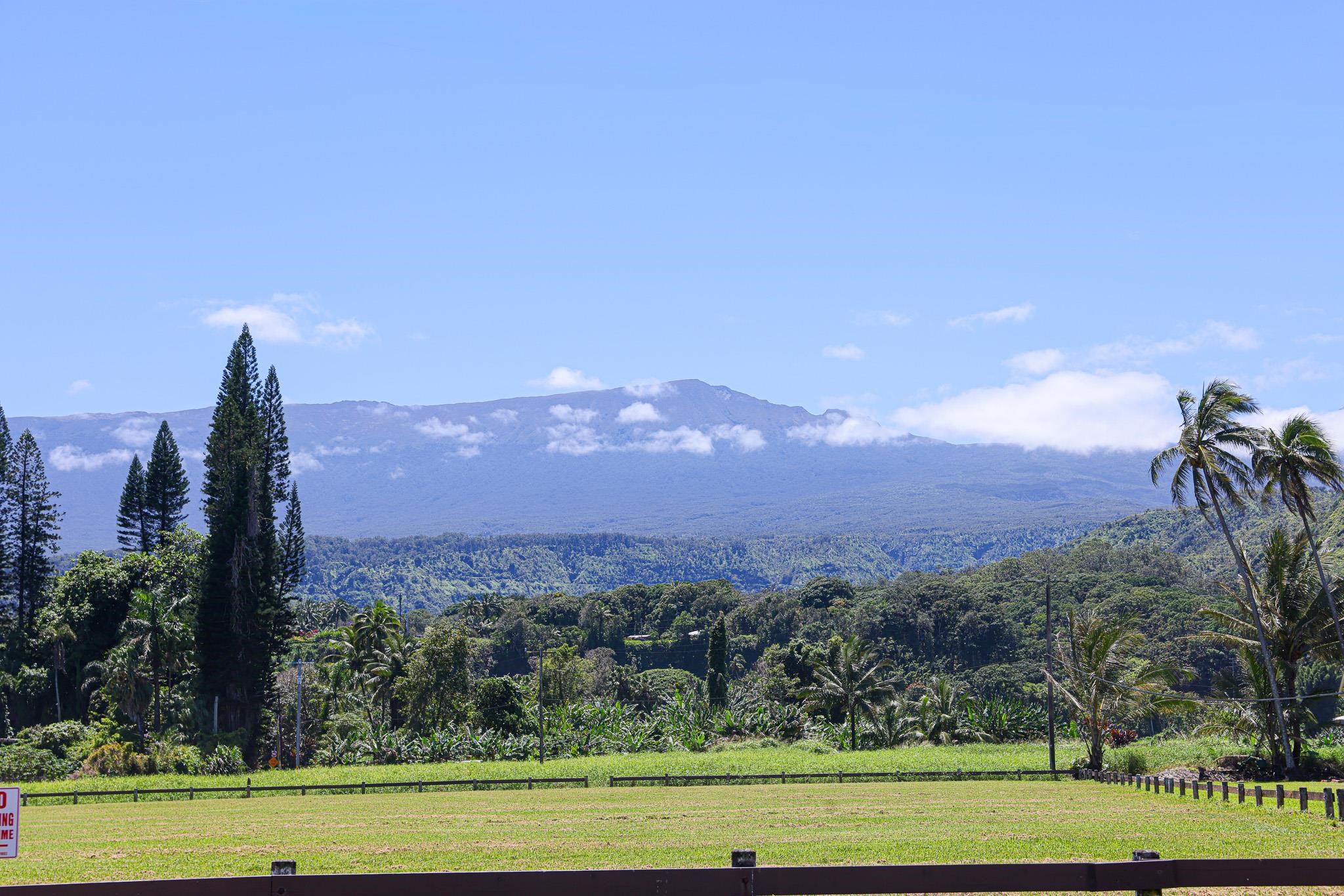 Keanae Road Haiku, HI 96708 - Photo 9 of 45