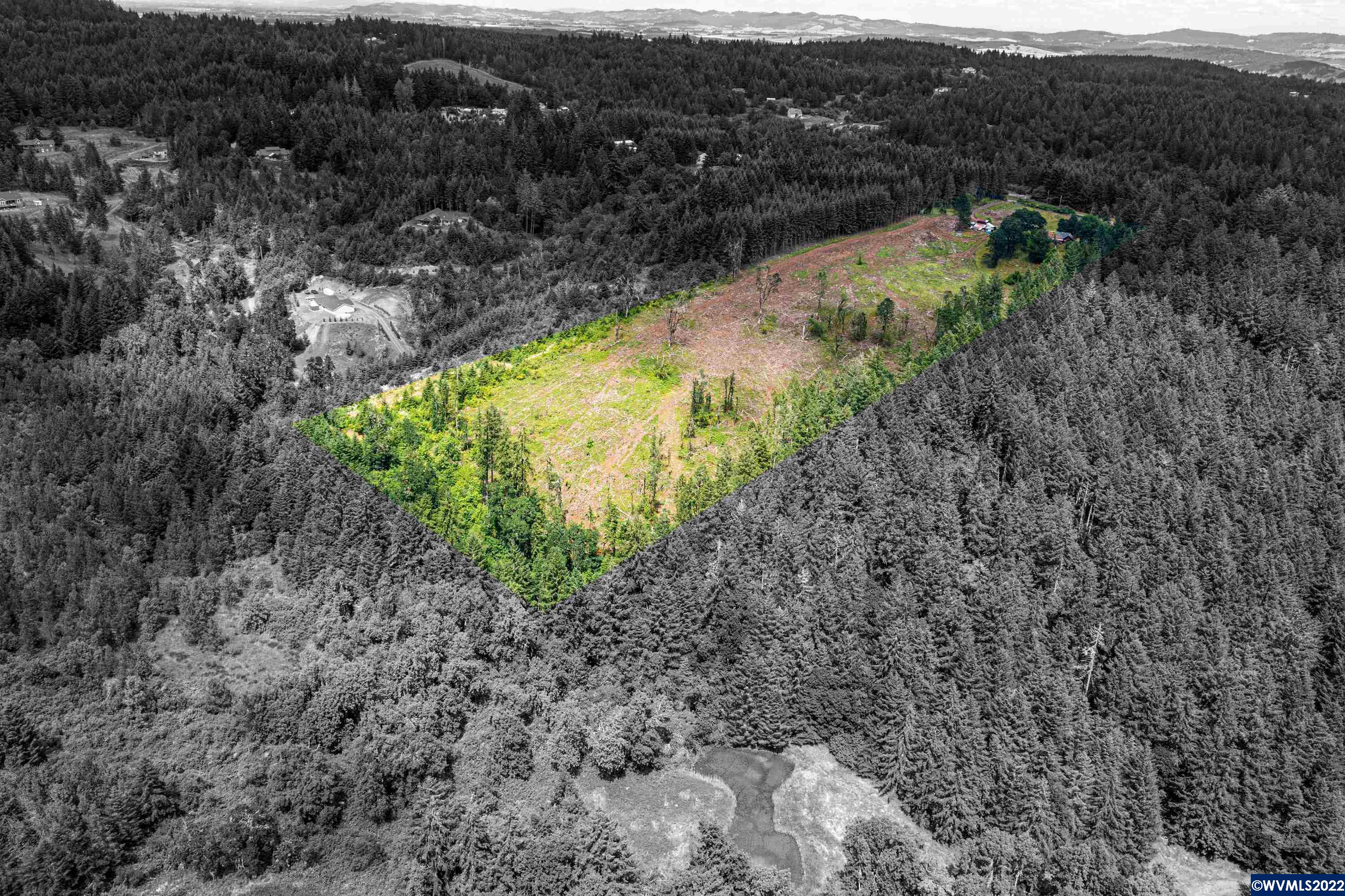 1285 Pioneer Road Dallas, OR 97338 - Photo 4 of 29