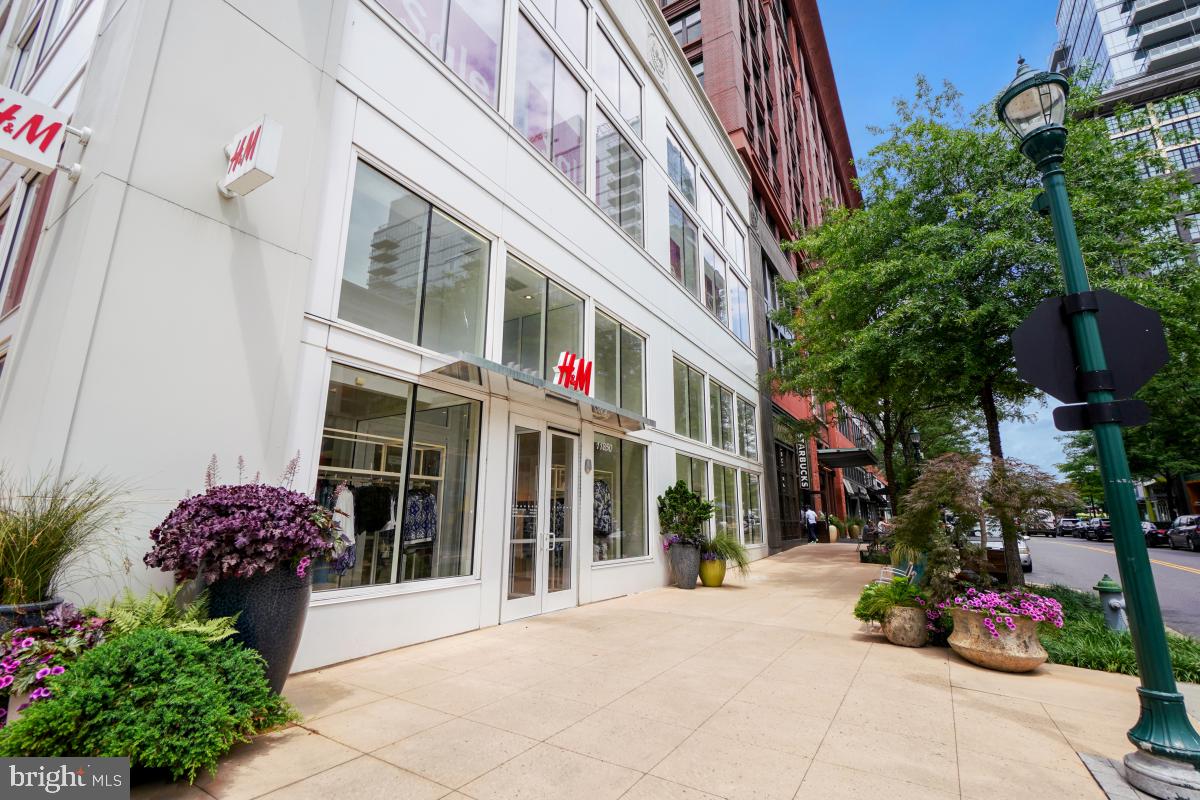 11800 Old Georgetown Road, Unit 1323 North Bethesda, MD 20852 - Photo 35 of 42 a view of a building with the potted plants