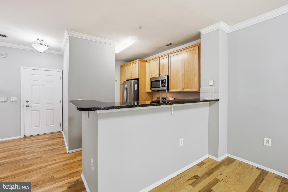 11800 Old Georgetown Road, Unit 1323 North Bethesda, MD 20852 - Photo 5 of 42 a bathroom with a sink and a mirror