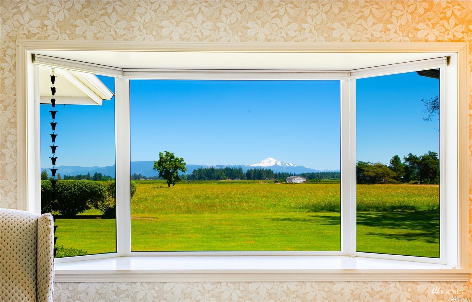 356 East Pole Road Lynden, WA 98264 - Photo 15 of 40 a view of a back yard