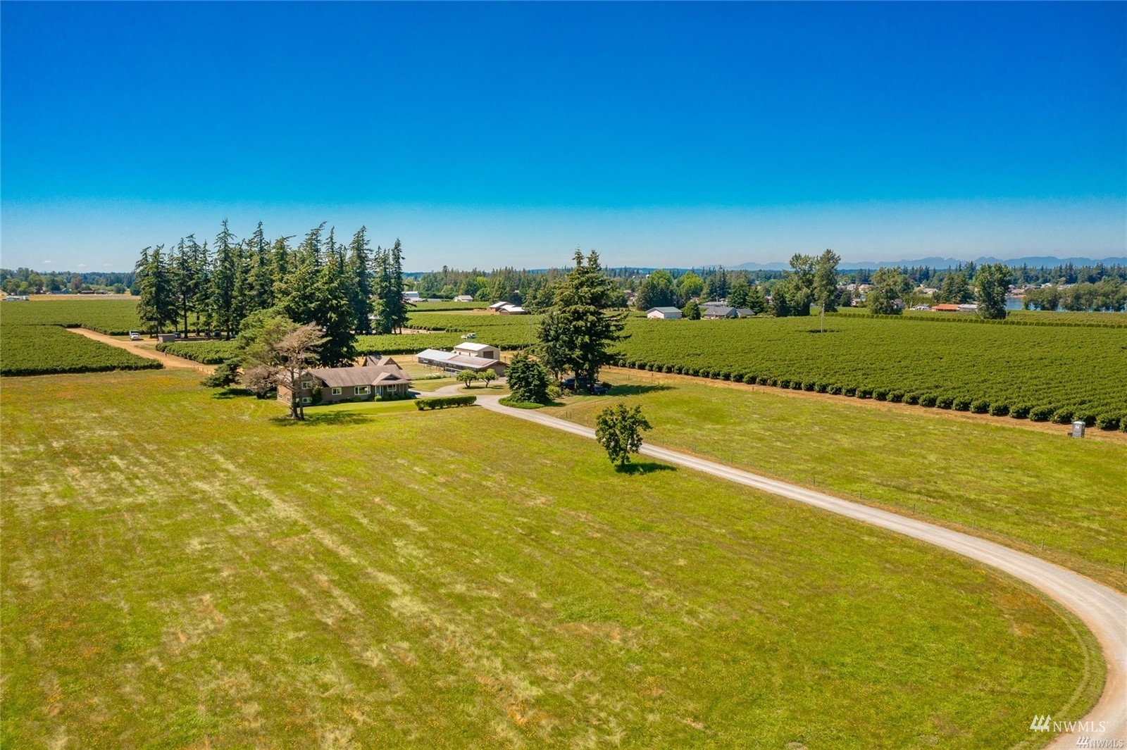 356 East Pole Road Lynden, WA 98264 - Photo 38 of 40 a view of a lake with a yard
