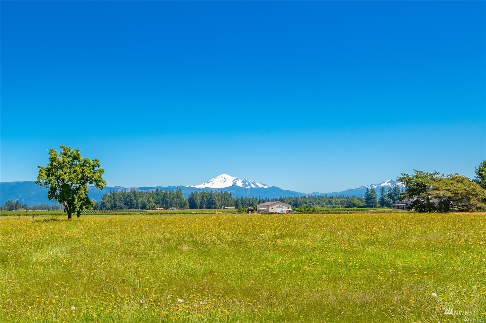 356 East Pole Road Lynden, WA 98264 - Photo 5 of 40 a view of outdoor space and yard