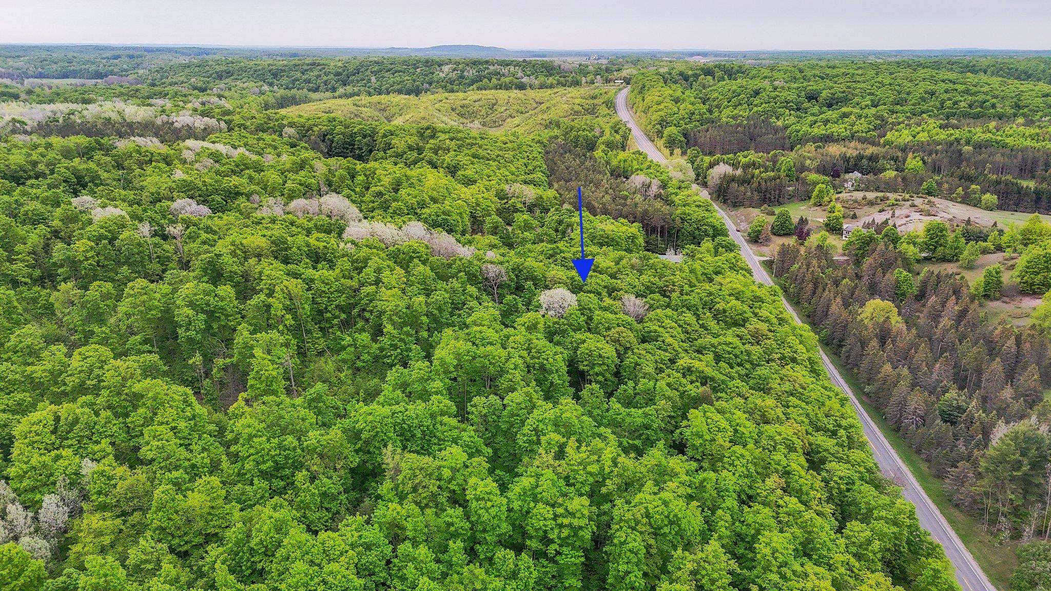 V/l South Coleman Road Maple City, MI 49664 - Photo 10 of 22