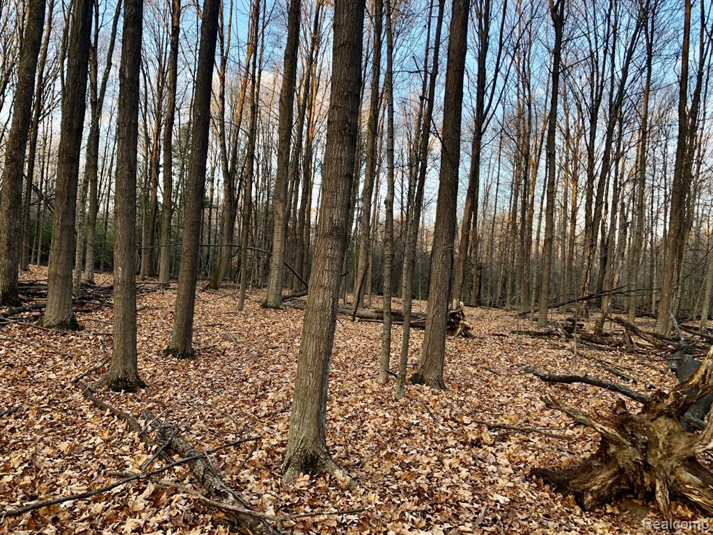 0 East Brocker Road Metamora, MI 48455 - Photo 16 of 25