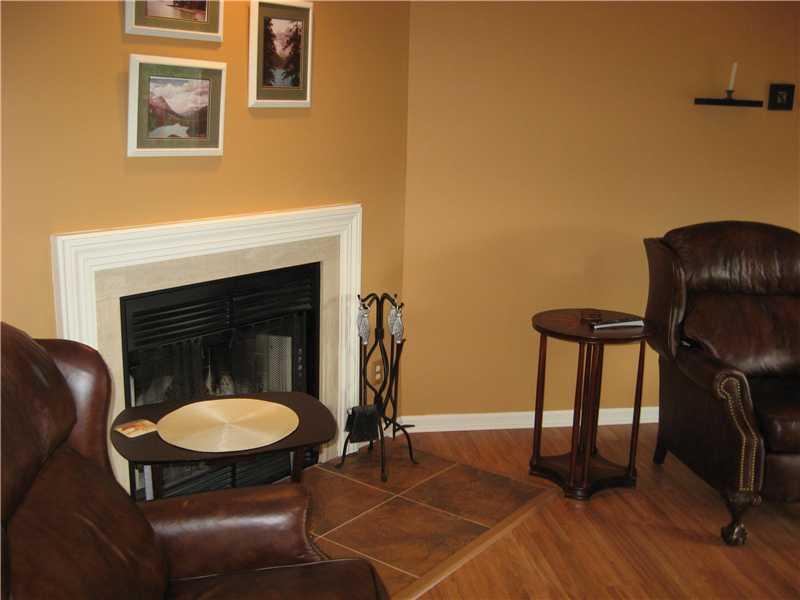 172 Shadow Ridge Drive Pittsburgh, PA 15238 - Photo 5 of 21 Family Room. CORNER HEARTH & FIREPLACE