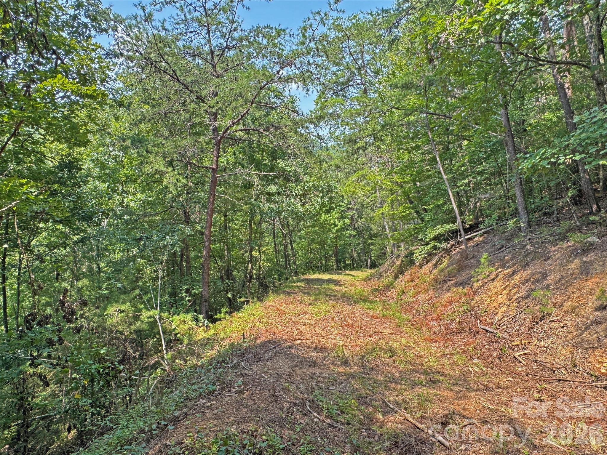 6080 River Road Hot Springs, NC 28743 - Photo 17 of 24 Gallery Image 17