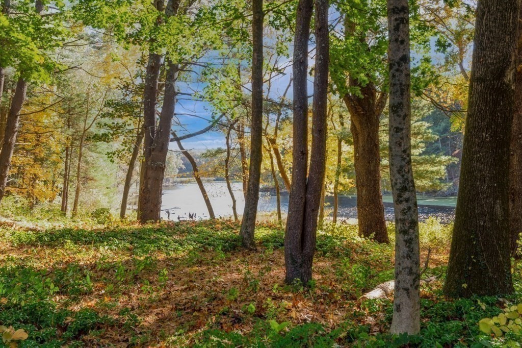 6 Sherman's Bridge Road Wayland, MA 01778 - Photo 35 of 42 a backyard of a house with lots of green space
