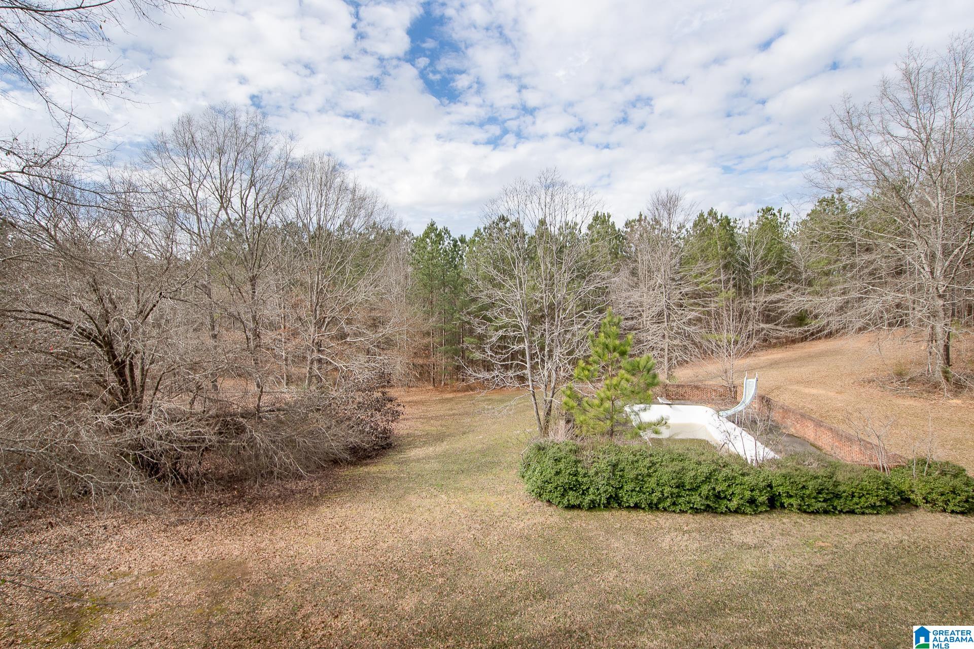 6987 Blue Creek Road Brookwood, AL 35444 - Photo 45 of 49