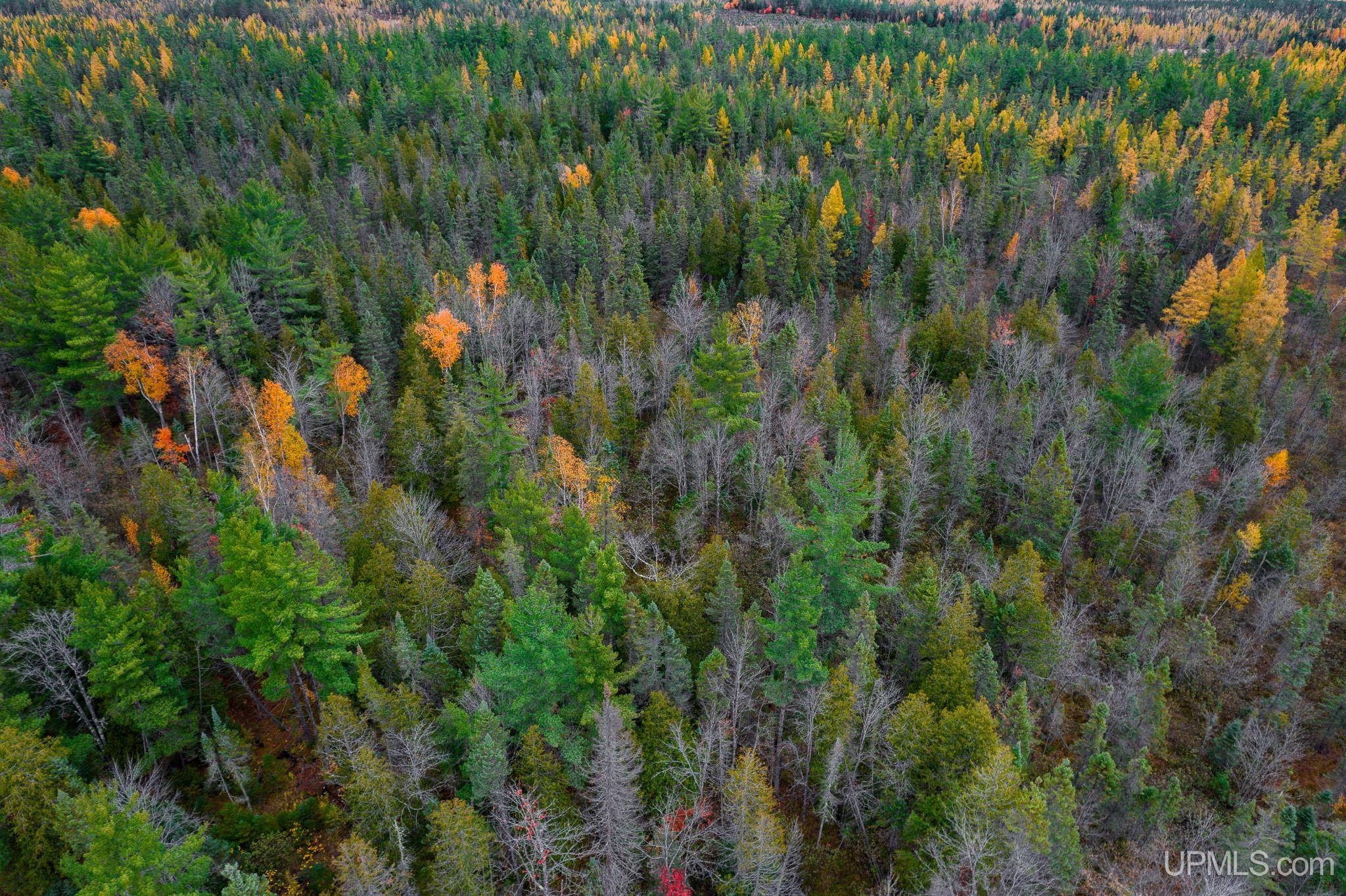 160 Acres Stella Lake Road Wetmore, MI 49895 - Photo 12 of 28