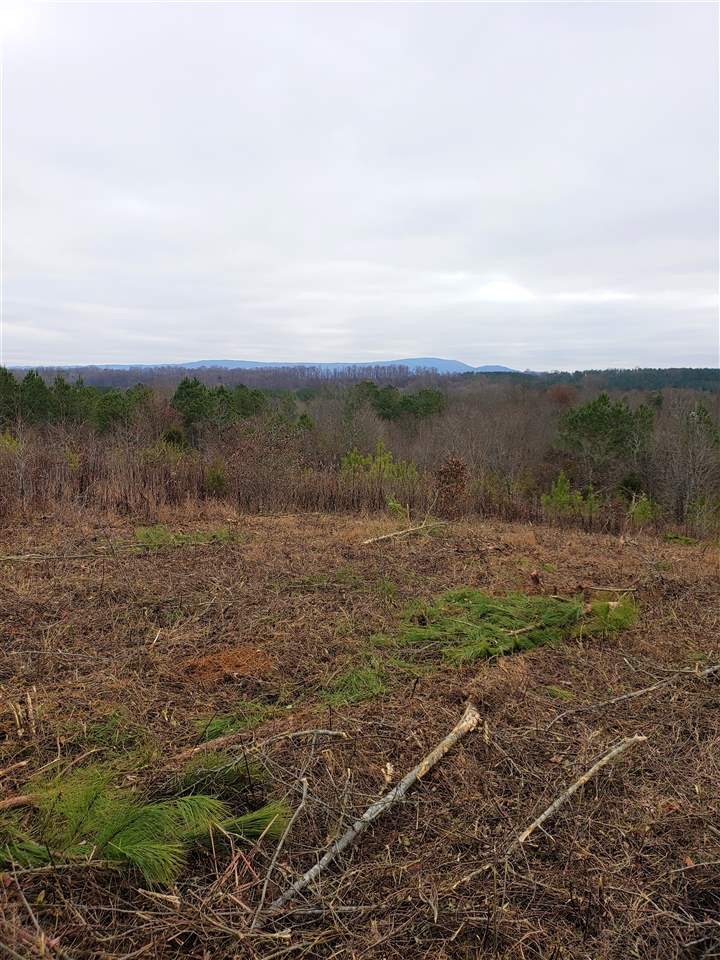 0 County Road 966 Riceville, TN 37370 - Photo 3 of 3 Gallery Image 3